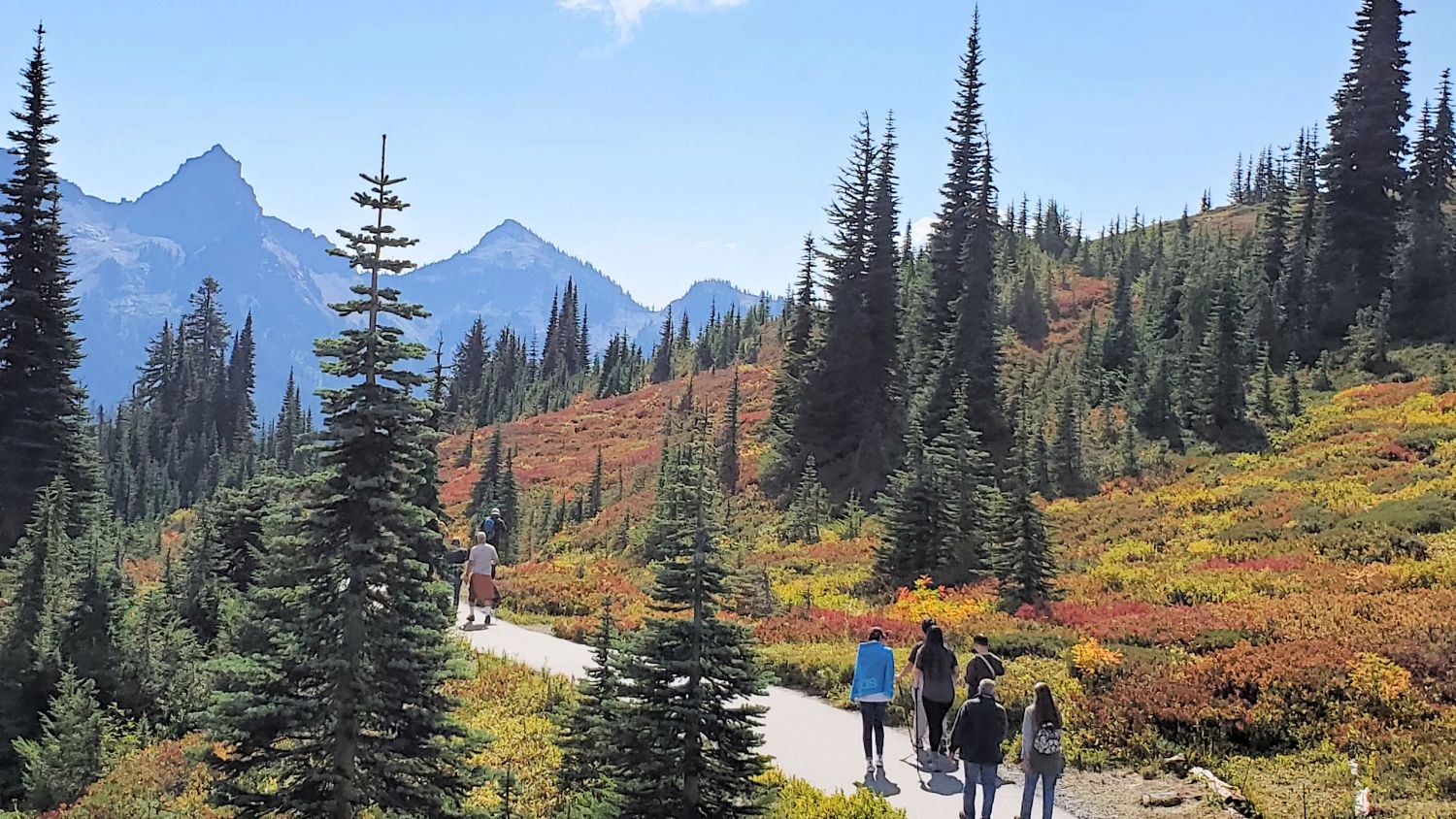 Mount Rainier NP 